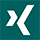Xing icon